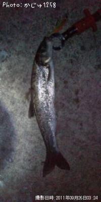 �������ġ�