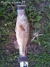 ¥Ö¥é¥Ã¥¯¥Ð¥¹