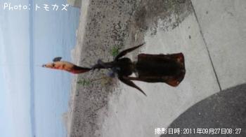 �����ꥤ��