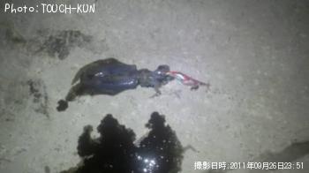 �����ꥤ��