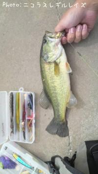 ¥Ö¥é¥Ã¥¯¥Ð¥¹