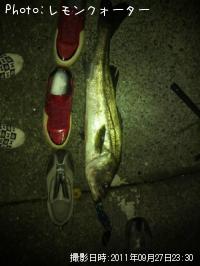 �����Х�