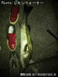 �����Х�