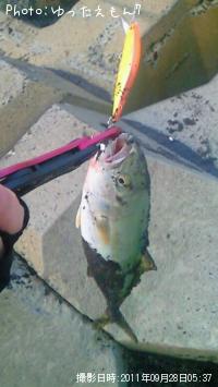 �參���ʾС�