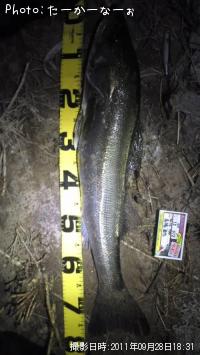 �����Х�