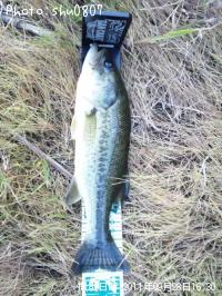 �֥�å��Х�