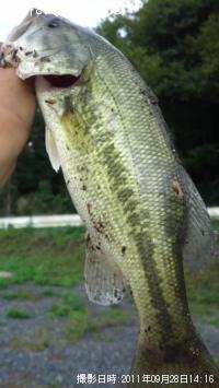 ¥Ö¥é¥Ã¥¯¥Ð¥¹