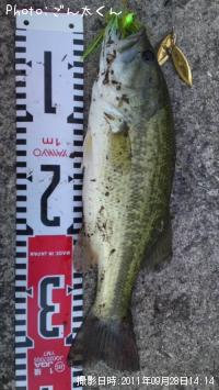 ¥Ö¥é¥Ã¥¯¥Ð¥¹