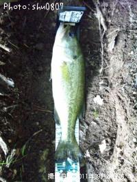 ¥Ö¥é¥Ã¥¯¥Ð¥¹