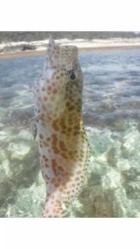 ������ϥ�