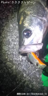 �����Х�