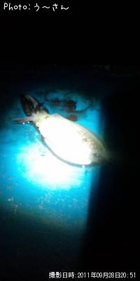 ¥¢¥ª¥ê¥¤¥«