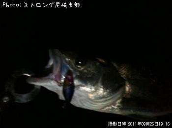 �����Х�