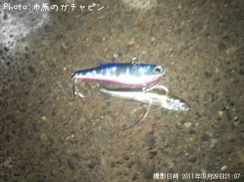 �����Х�����ʤ��ʡ䡲���