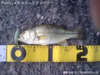 �֥�å��Х�