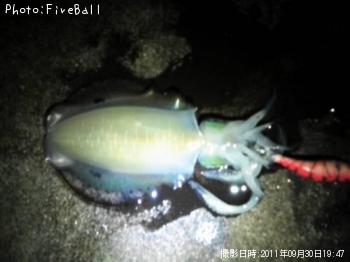 �����ꥤ��