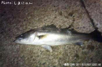 �����Х�