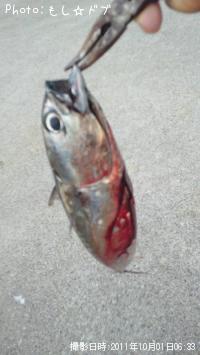 ���������ĥ�