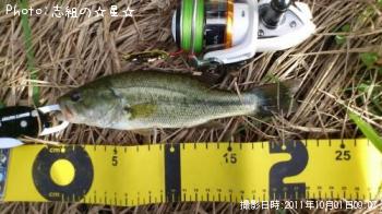 �֥�å��Х�