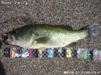 �֥�å��Х�