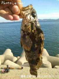 �����Υ���Х�