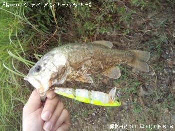 ¥Ö¥é¥Ã¥¯¥Ð¥¹