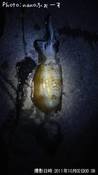 �����ꥤ��