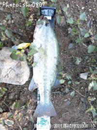 �֥�å��Х�