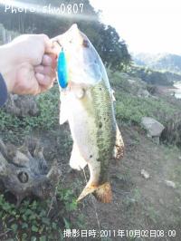 �֥�å��Х�