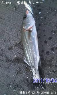 �����Х�