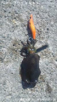 �����ꥤ��