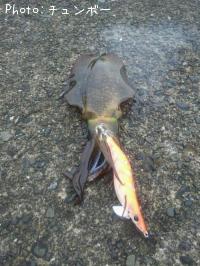 �����ꥤ��