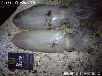 ¥¢¥ª¥ê¥¤¥«