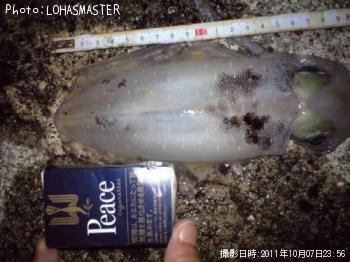 ¥¢¥ª¥ê¥¤¥«