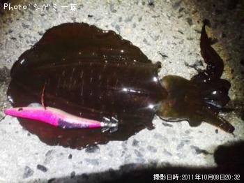 �����ꥤ��