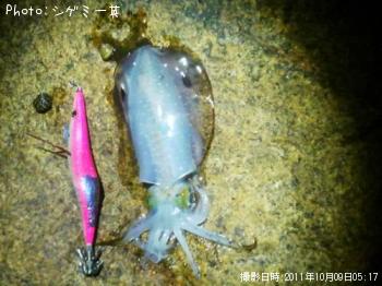 �����ꥤ��