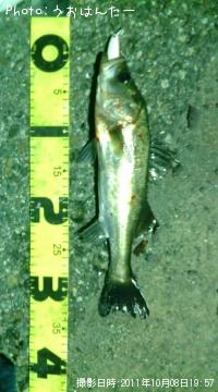 �����Х�