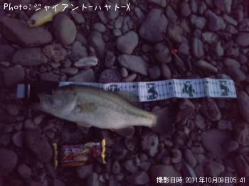 ¥Ö¥é¥Ã¥¯¥Ð¥¹