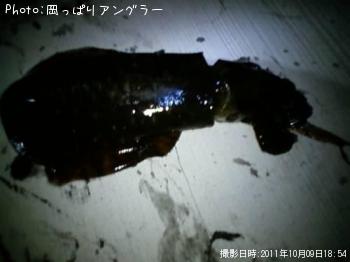 �����ꥤ��