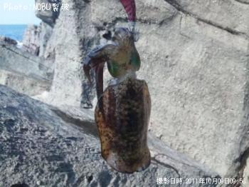 �����ꥤ��