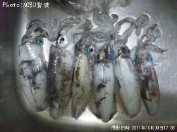 �����ꥤ��