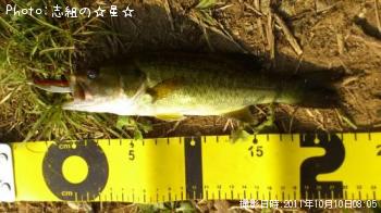 �֥�å��Х�