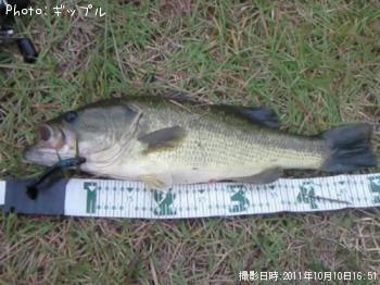 ¥Ö¥é¥Ã¥¯¥Ð¥¹