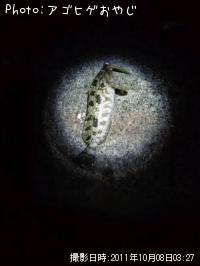 �����ʥ�