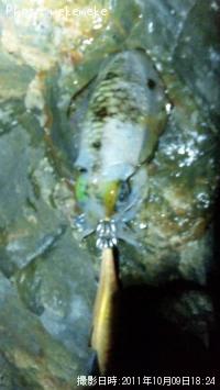 �����ꥤ��