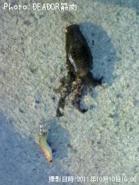 �����ꥤ��