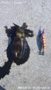 �����ꥤ��