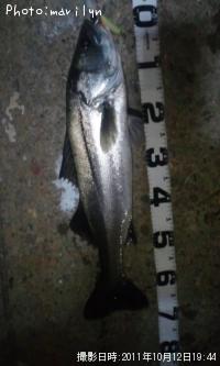 �����Х�