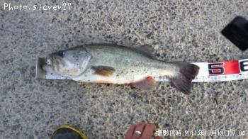 �֥�å��Х�