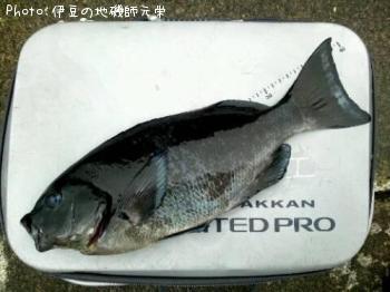 ¸ýÂÀ¥á¥¸¥Ê